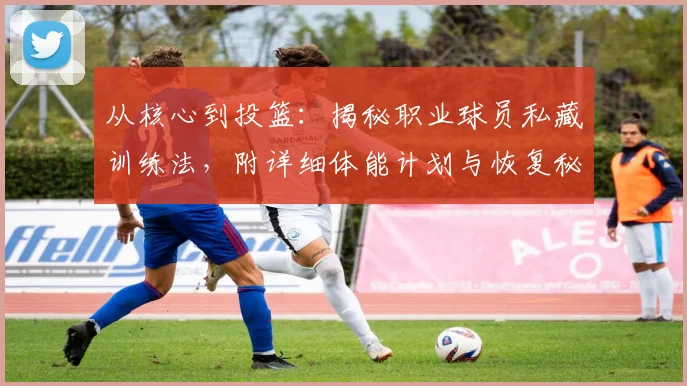 从核心到投篮:揭秘职业球员私藏训练法,附详细体能计划与恢复秘诀