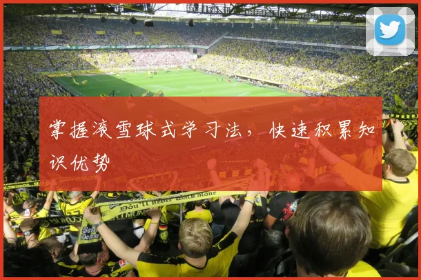 掌握滚雪球式学习法，快速积累知识优势