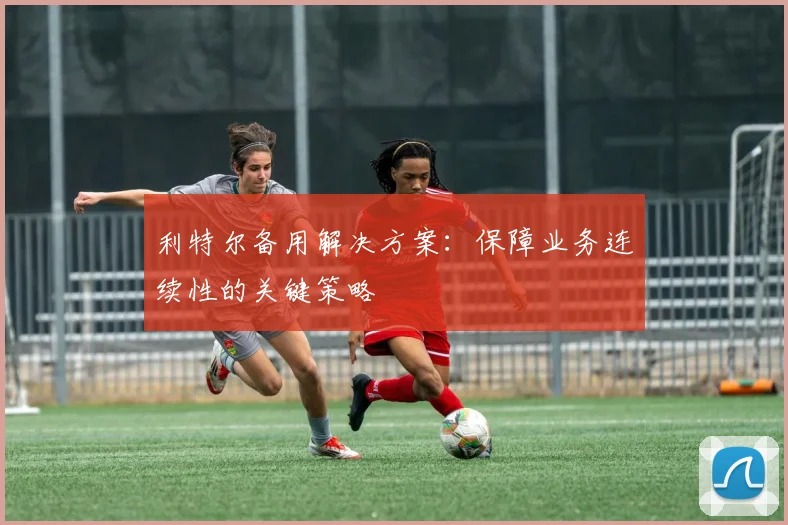 利特尔备用解决方案：保障业务连续性的关键策略